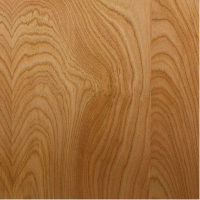 close-up of wood sample showing grain and color