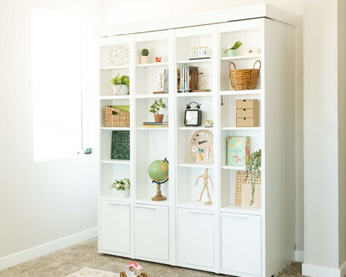 Bookcase Wallbed Decorated